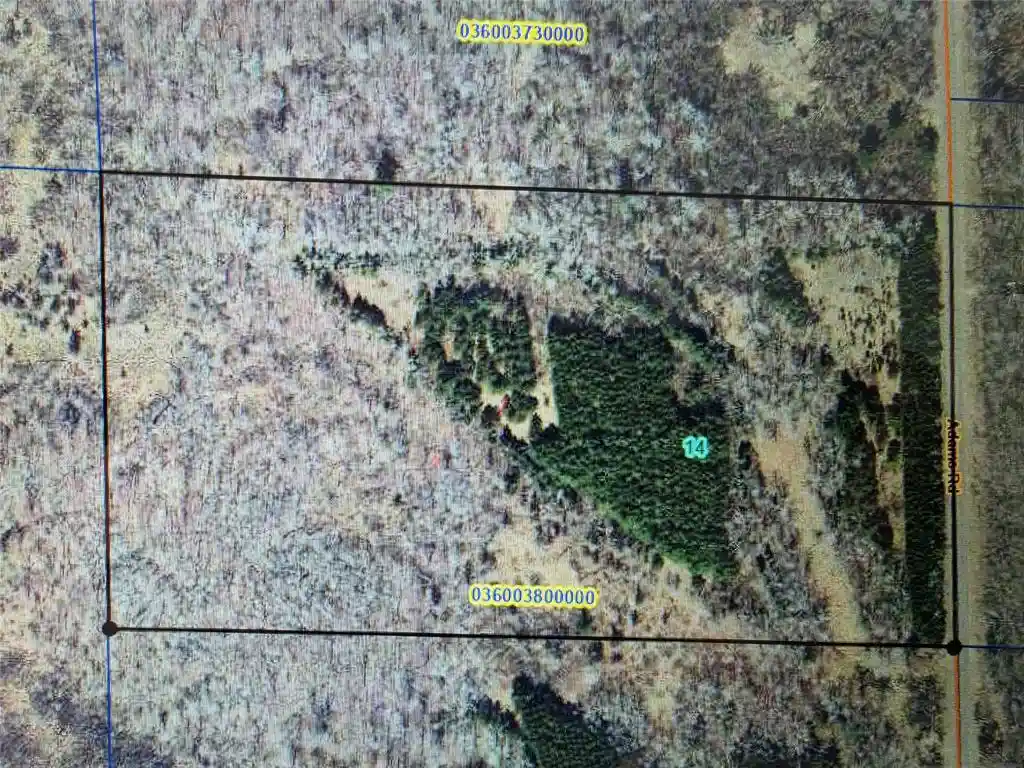 Homes for sale in Bruce, WI | 20 Acres Adams Road Road Road, Bruce, WI 54819 | MLS# 1602683