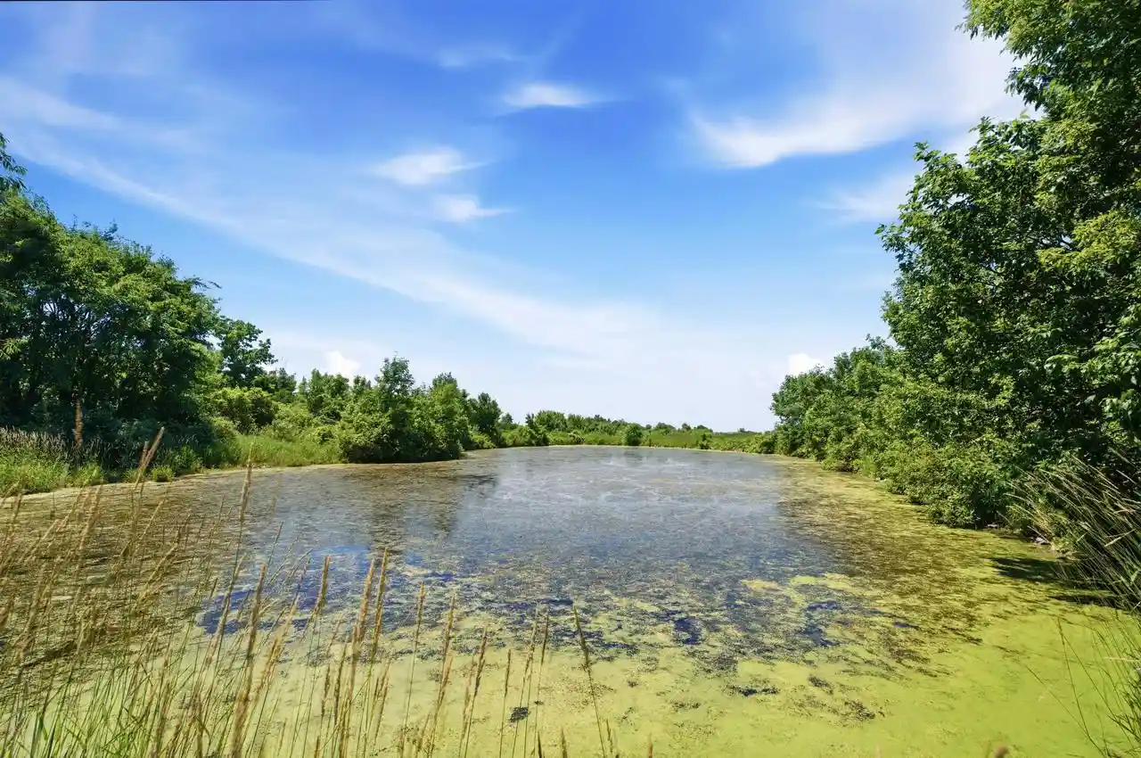 25th image of Fishermans Road Road, Fond Du Lac, WI 54937 | MLS# 50328210