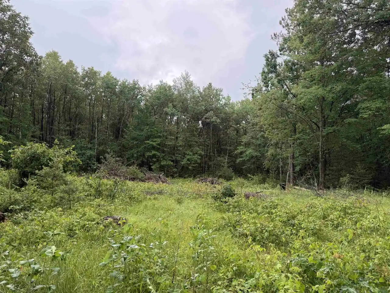Photo 1 of Land for sale at W1561 Hawks Nest Trail Trail, Keshena, WI 54135 | MLS# 50328224 | Listing updated on 2026-06-29