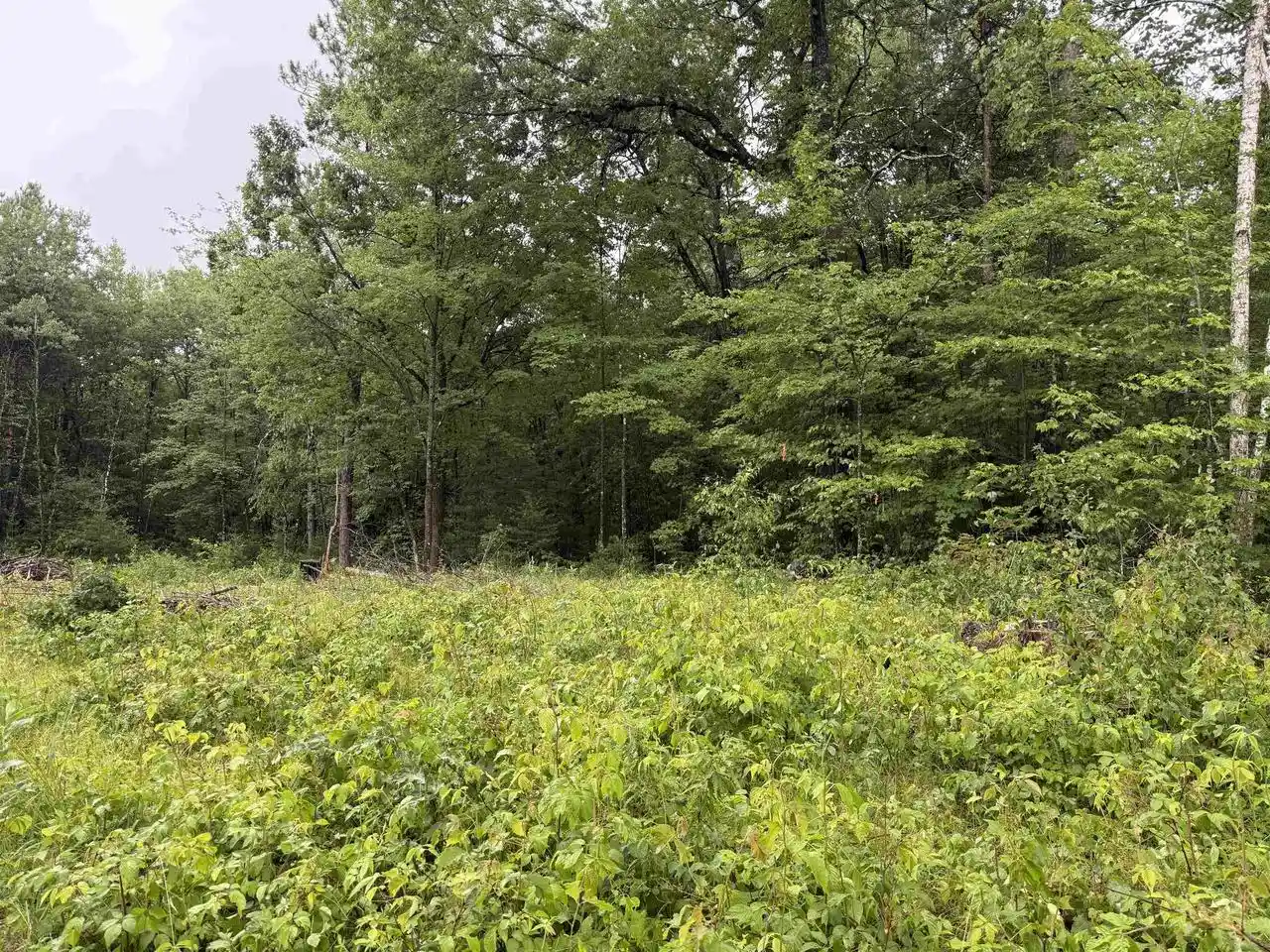 Photo 3 of Land for sale at W1561 Hawks Nest Trail Trail, Keshena, WI 54135 | MLS# 50328224 | Listing updated on 2026-06-29