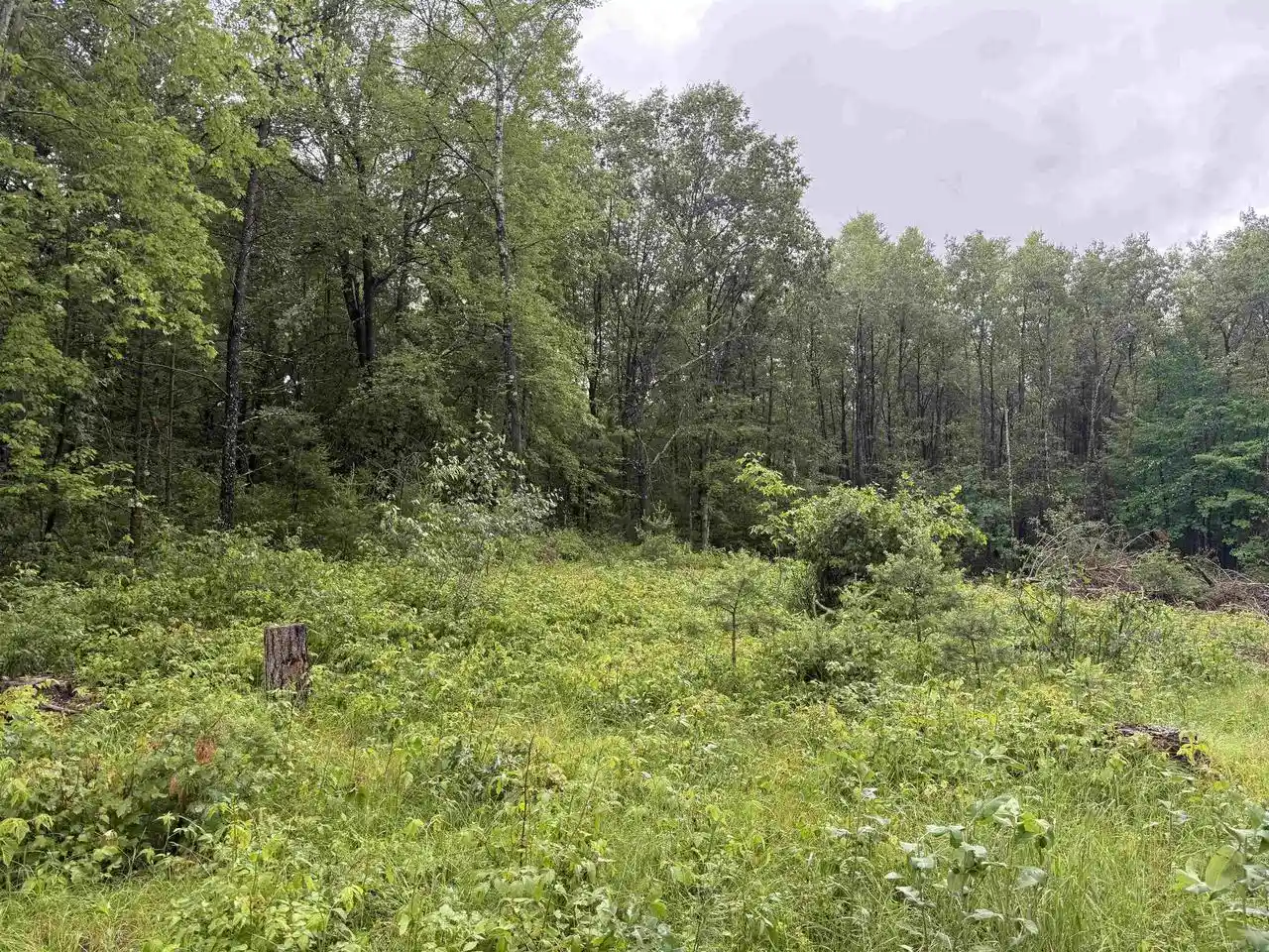 Photo 3 of Land for sale at W1561 Hawks Nest Trail Trail, Keshena, WI 54135 | MLS# 50328224 | Listing updated on 2026-06-29