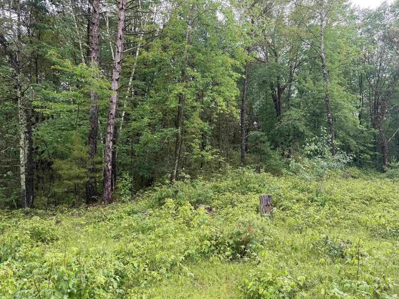Photo 4 of Land for sale at W1561 Hawks Nest Trail Trail, Keshena, WI 54135 | MLS# 50328224 | Listing updated on 2026-06-29