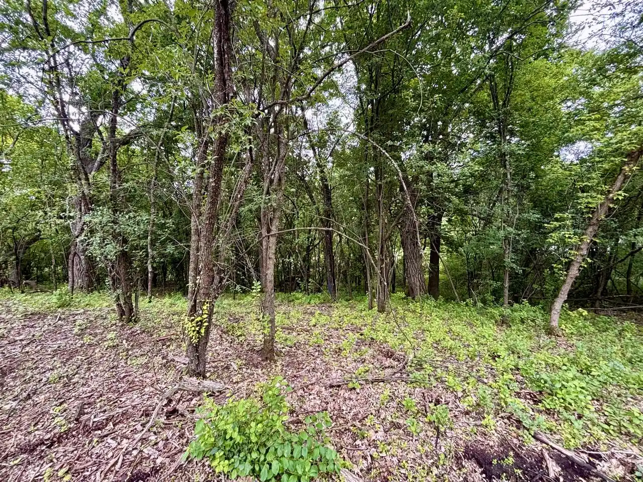 3rd image of 155 S Brandybrook Road Road, Wales, WI 53183 | MLS# 1969325