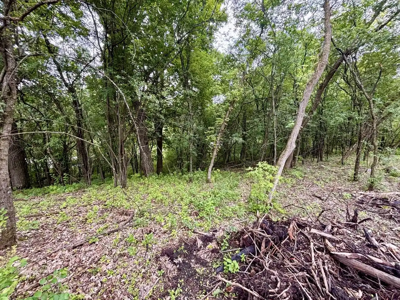 4th image of 155 S Brandybrook Road Road, Wales, WI 53183 | MLS# 1969325