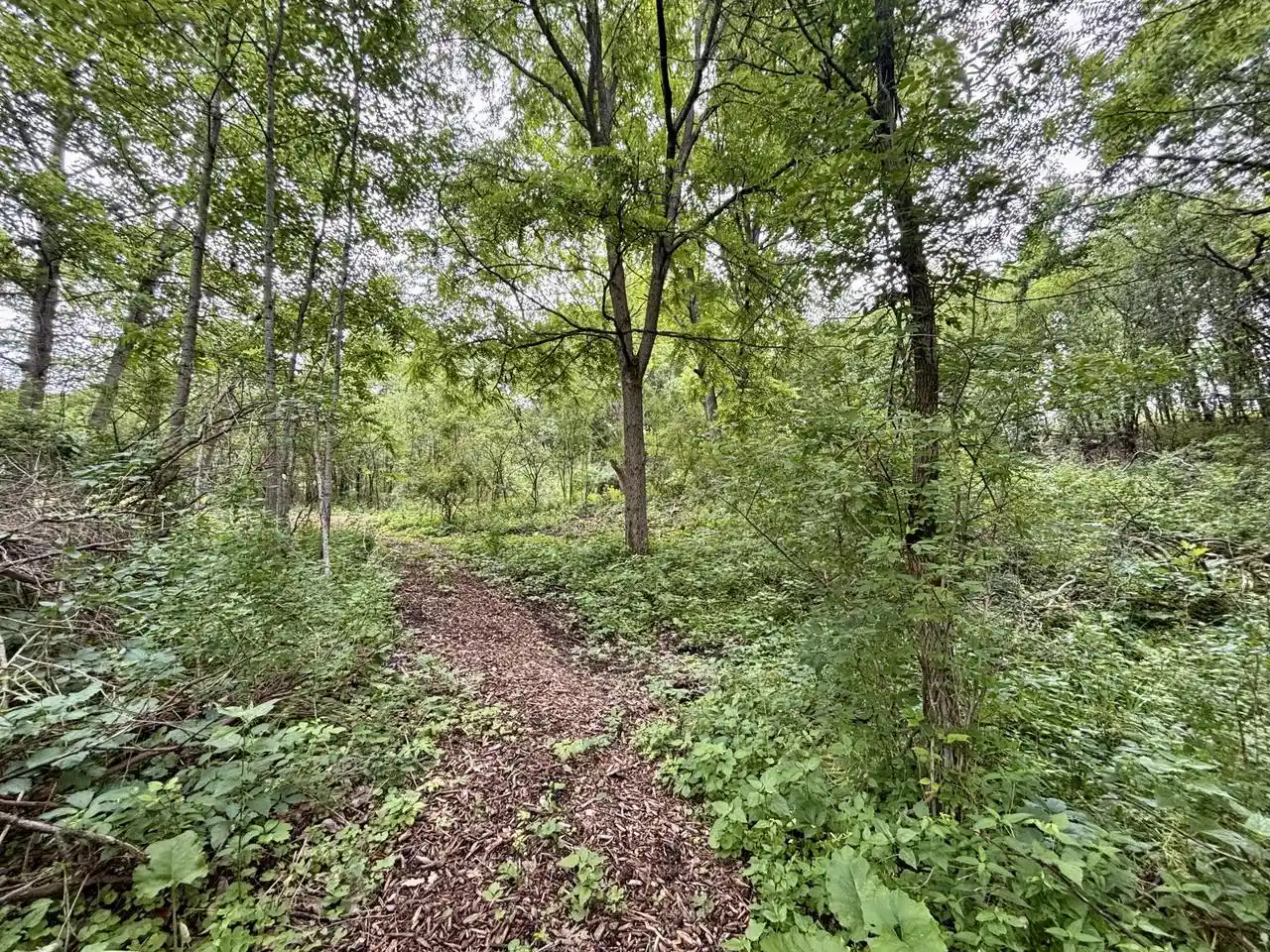 1st image of 505 E Brandybrook Road Road, Wales, WI 53183 | MLS# 1969331