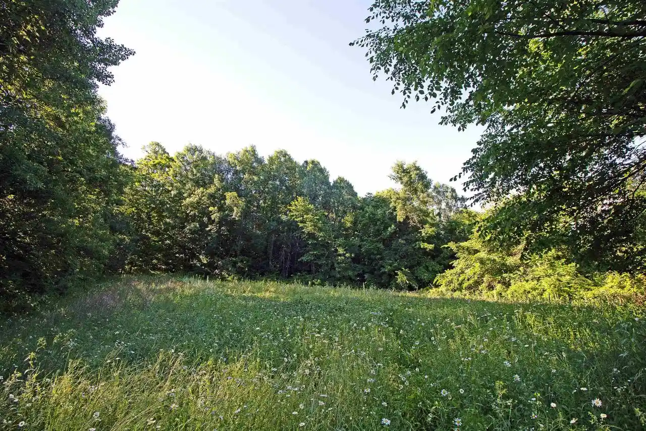 Homes for sale in Blue River, WI | 76 Acres Skyline Road Road, Blue River, WI 53518 | MLS# 2026883