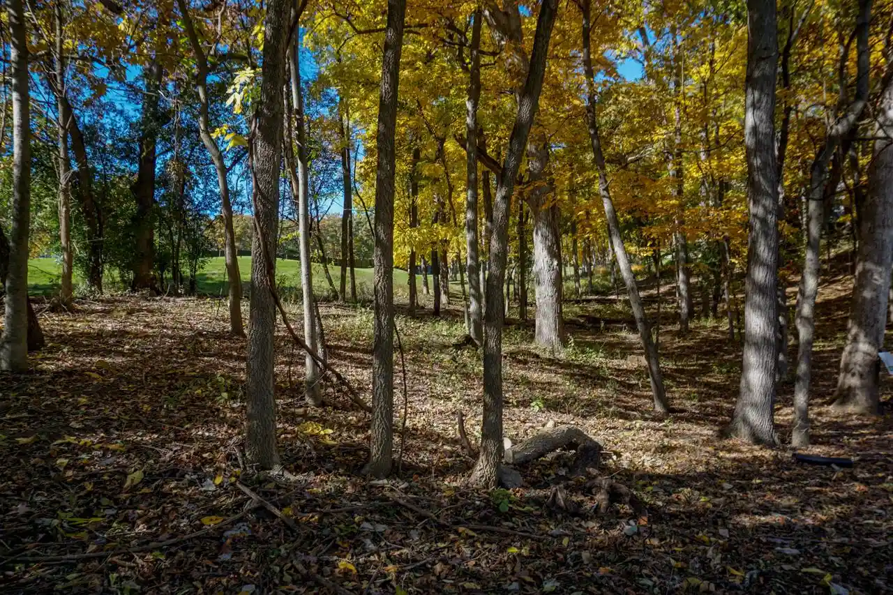 Photo 2 of Land for sale at 1502 Geneva National Avenue S Avenue S #17-02, Lake Geneva, WI 53147 | MLS# 1969351 | Listing updated on 2026-06-26