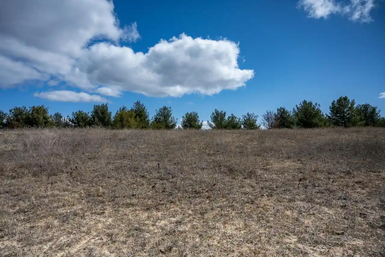 Homes for sale in New Lisbon, WI | N8141 15Th Avenue Avenue, New Lisbon, WI 53950 | MLS# 2026892