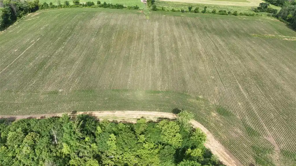 1st image of Xx County Rd Bb, Baldwin, WI 54002 | MLS# 1602567