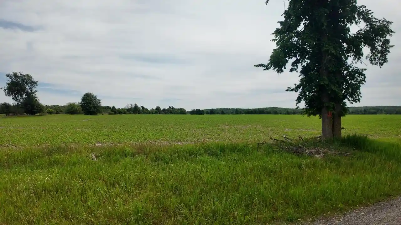 1st image of Lot 1 Peshtigo River Road Road, Laona, WI 54541 | MLS# 1969472