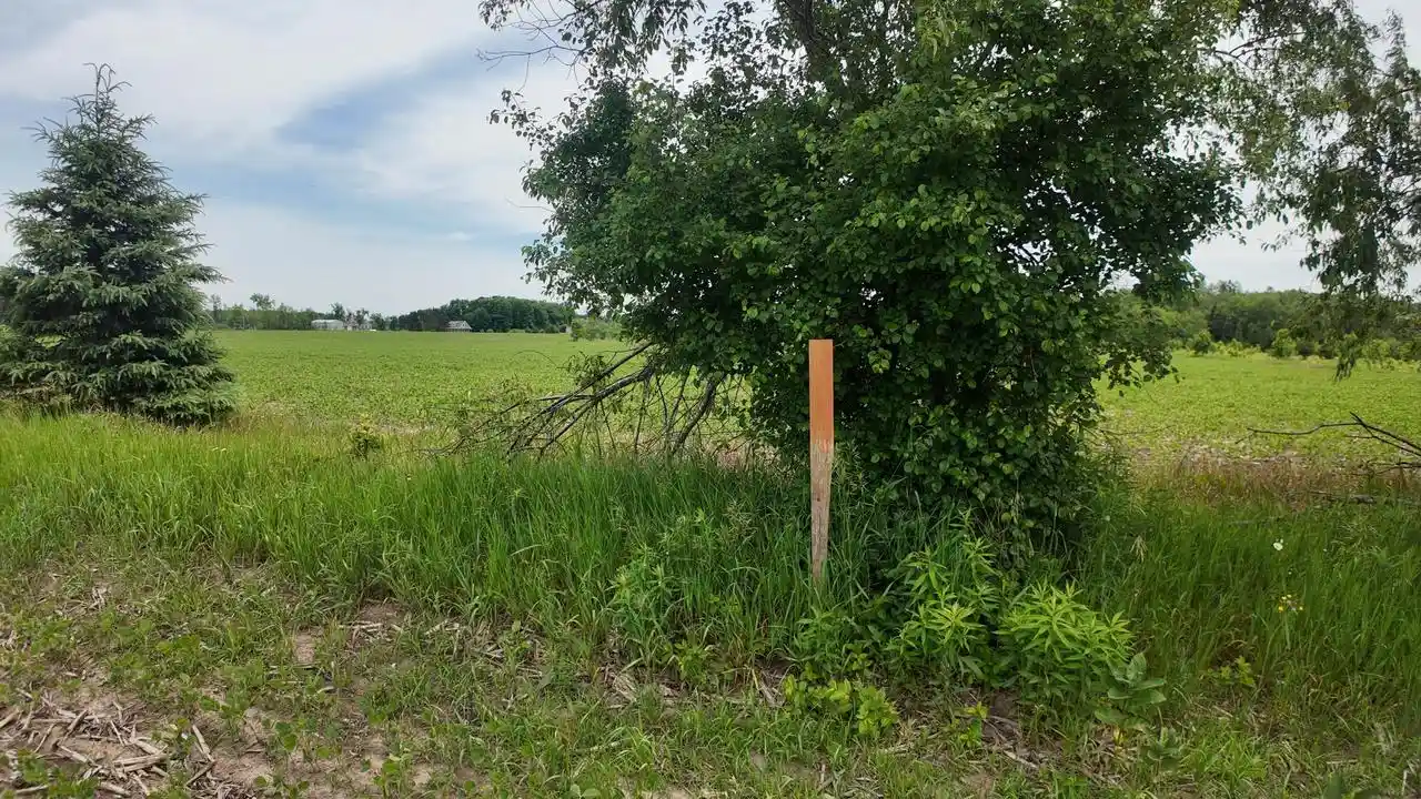 2nd image of Lot 1 Peshtigo River Road Road, Laona, WI 54541 | MLS# 1969472