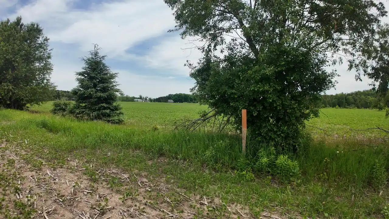 Photo 3 of Land for sale at Lot 1 Peshtigo River Road Road, Laona, WI 54541 | MLS# 1969472 | Listing updated on 2026-09-15