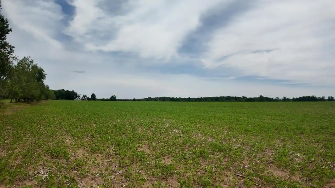 Photo 4 of Land for sale at Lot 1 Peshtigo River Road Road, Laona, WI 54541 | MLS# 1969472 | Listing updated on 2026-09-15