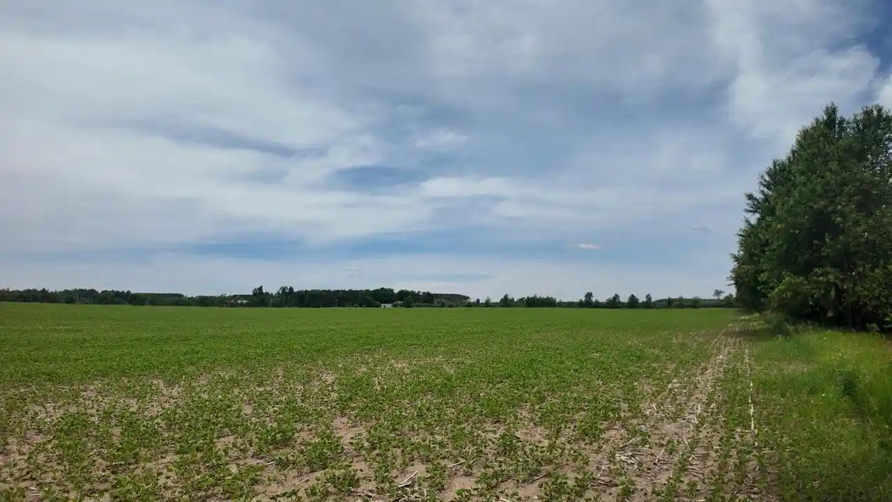 22nd image of Lot 1 Peshtigo River Road Road, Laona, WI 54541 | MLS# 1969472