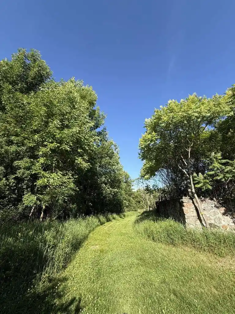 Homes for sale in Wittenberg, WI | N6559 River Road Road, Wittenberg, WI 54499 | MLS# 22602993