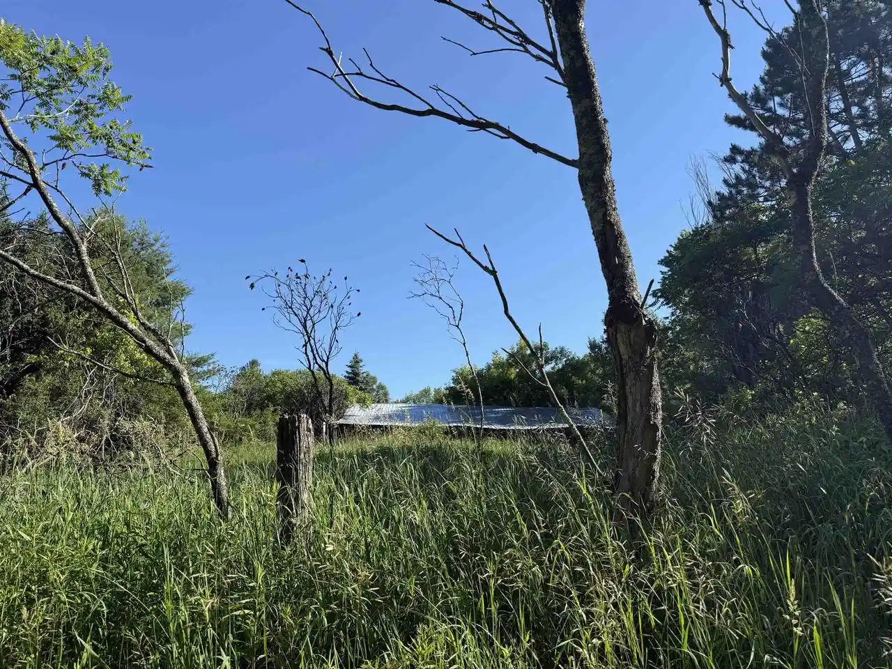 Homes for sale in Wittenberg, WI | N6559 River Road Road, Wittenberg, WI 54499 | MLS# 22602993