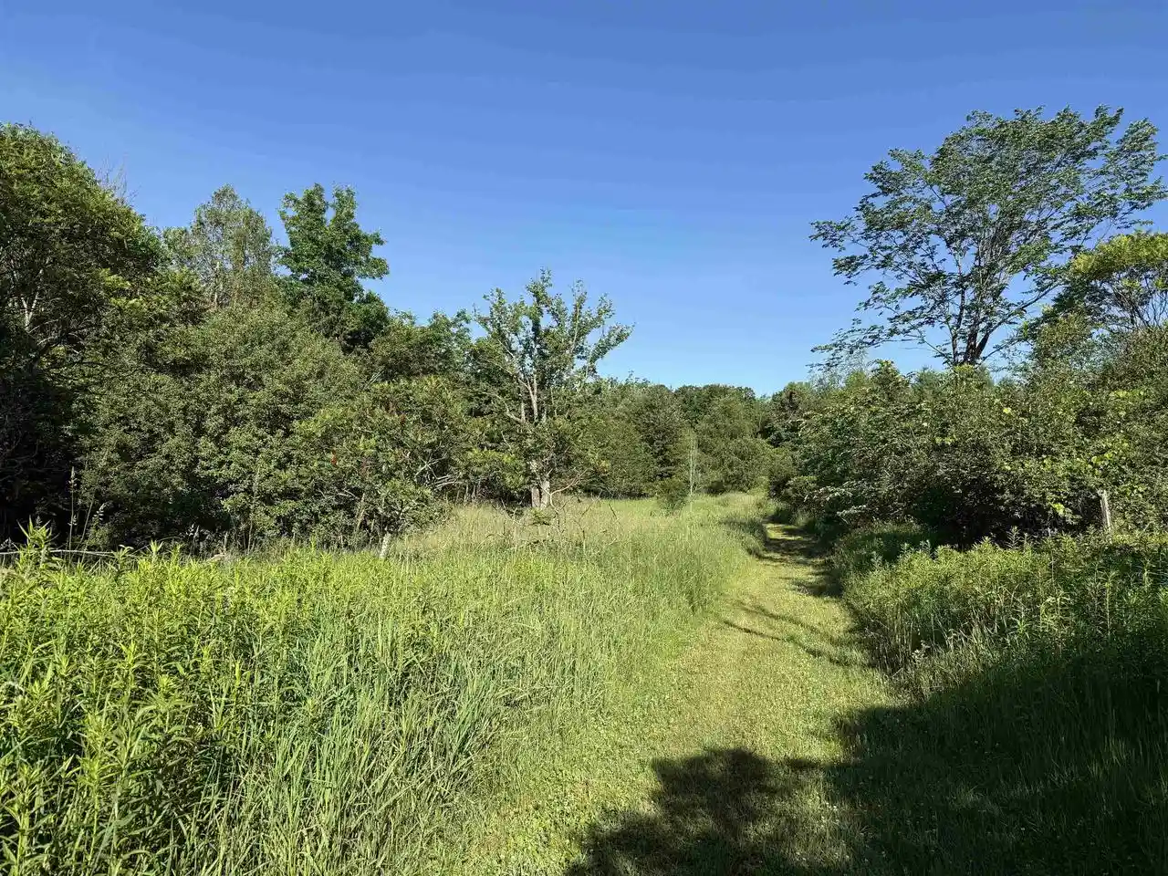 Homes for sale in Wittenberg, WI | N6559 River Road Road, Wittenberg, WI 54499 | MLS# 22602993