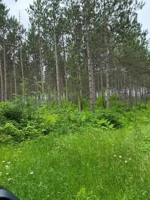 2nd image of 20 Acres 5th Ave, Trego, WI 54888 | MLS# 1602724