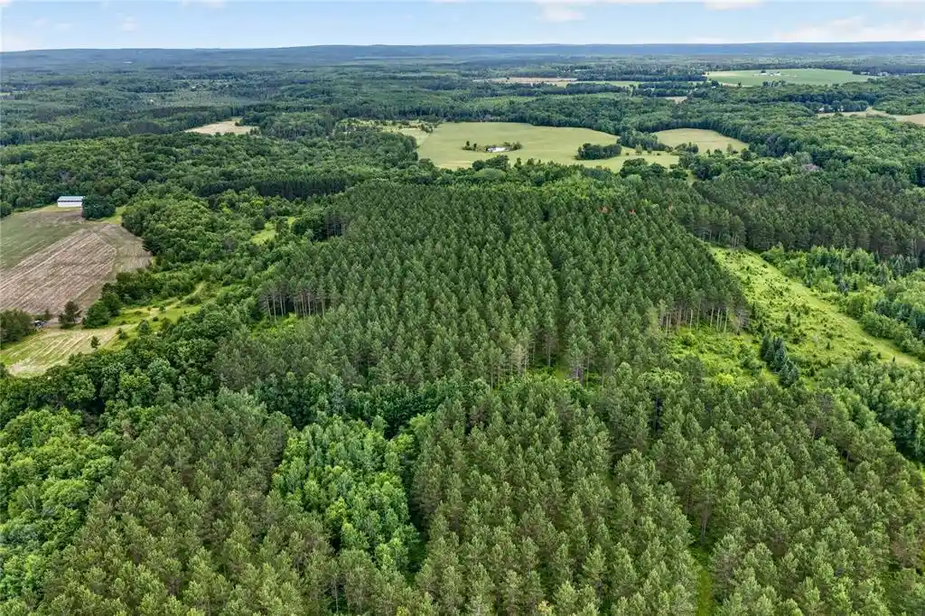 3rd image of 20 Acres 5Th Ave, Trego, WI 54888 | MLS# 1602724
