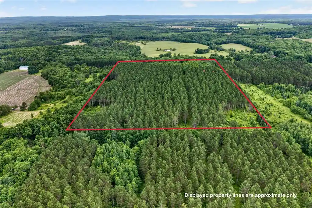 5th image of 20 Acres 5Th Ave, Trego, WI 54888 | MLS# 1602724