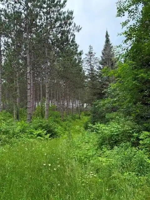 12th image of 20 Acres 5th Ave, Trego, WI 54888 | MLS# 1602724
