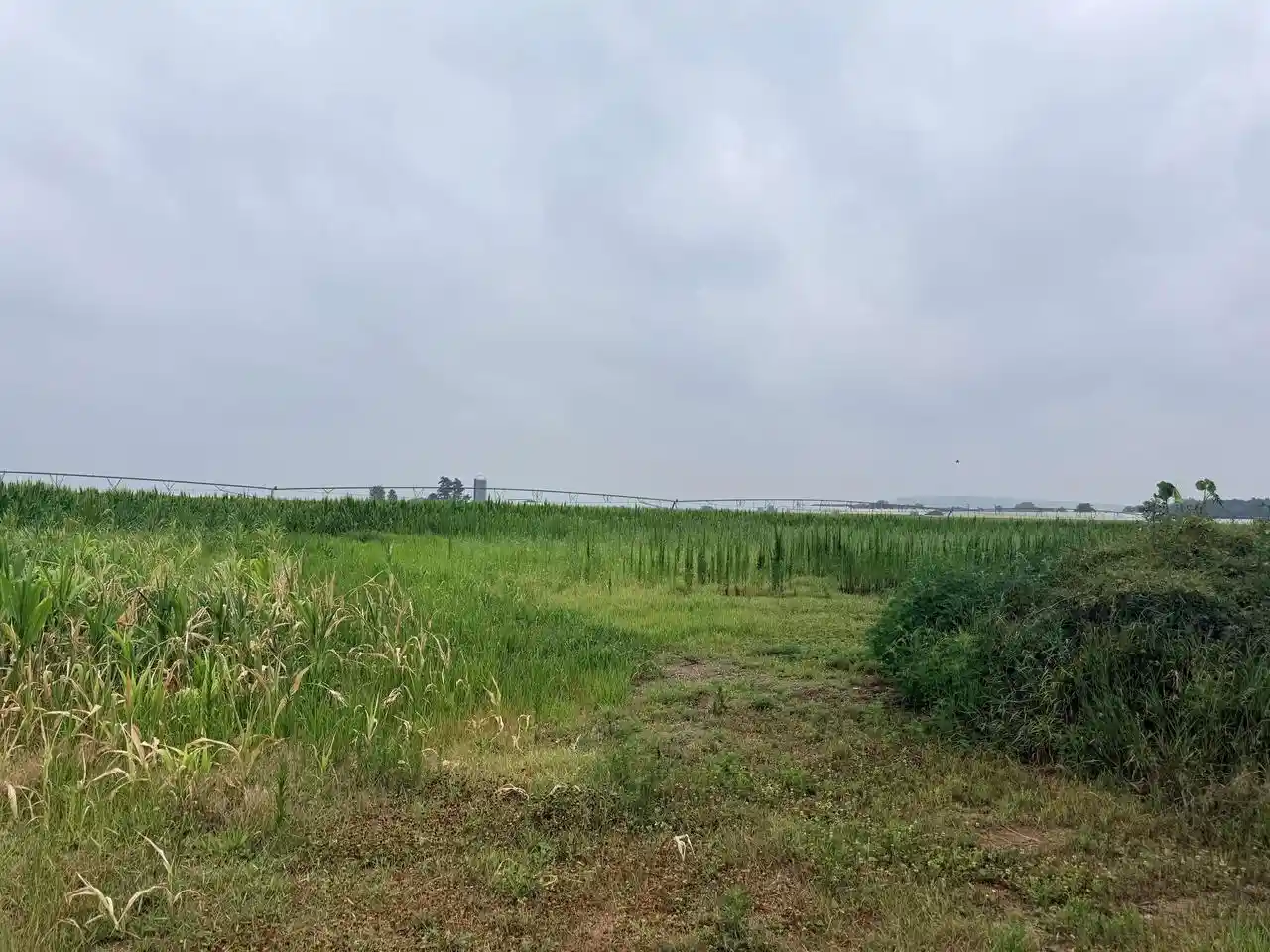Photo 1 of Land for sale at 1603 Acres Dennis Court Court, Prairie Du Sac, WI 53578 | MLS# 2027007 | Listing updated on 2026-08-26