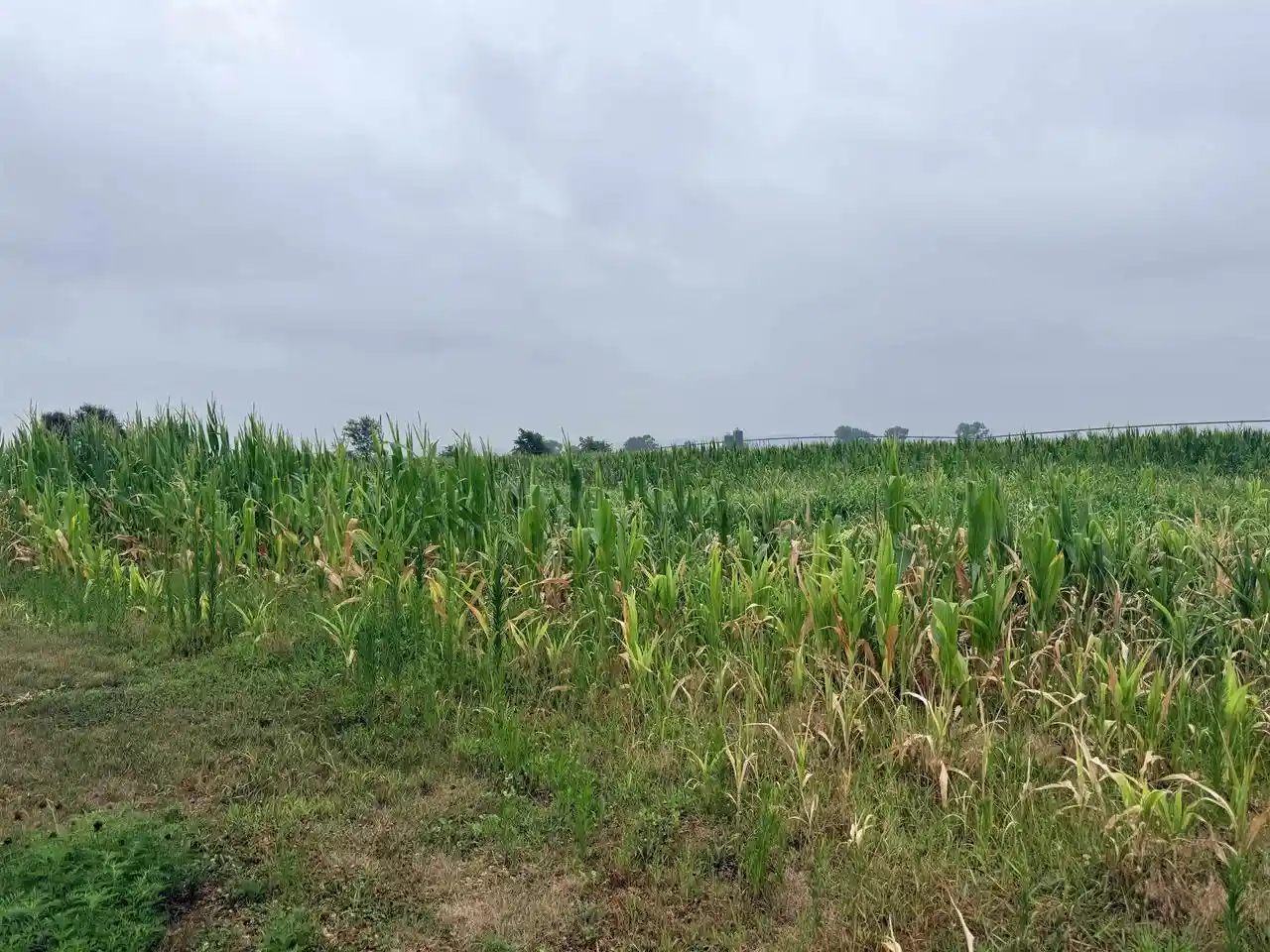 Photo 2 of Land for sale at 1603 Acres Dennis Court Court, Prairie Du Sac, WI 53578 | MLS# 2027007 | Listing updated on 2026-08-26