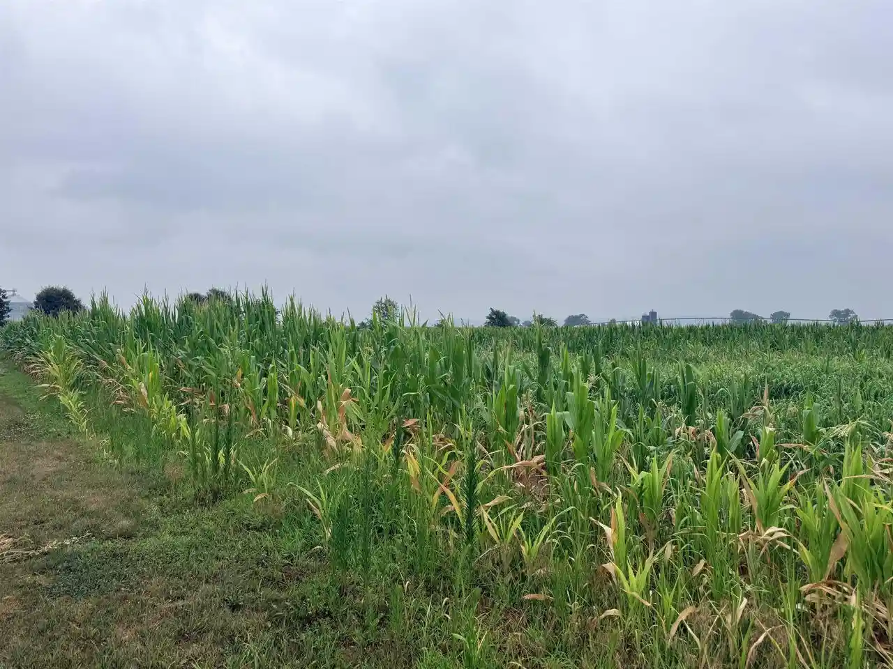 Photo 3 of Land for sale at 1603 Acres Dennis Court Court, Prairie Du Sac, WI 53578 | MLS# 2027007 | Listing updated on 2026-08-26