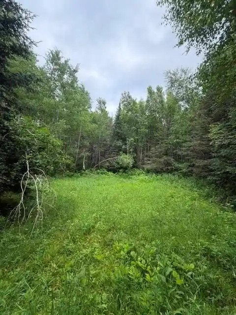 1st image of 20 Acres S 5th Ave, Trego, WI 54888 | MLS# 1602779