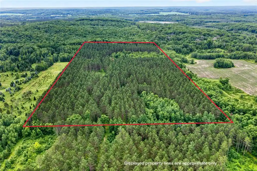 Photo 3 of Land for sale at 20 Acres S 5th Ave, Trego, WI 54888 | MLS# 1602779 | Listing updated on 2026-09-16
