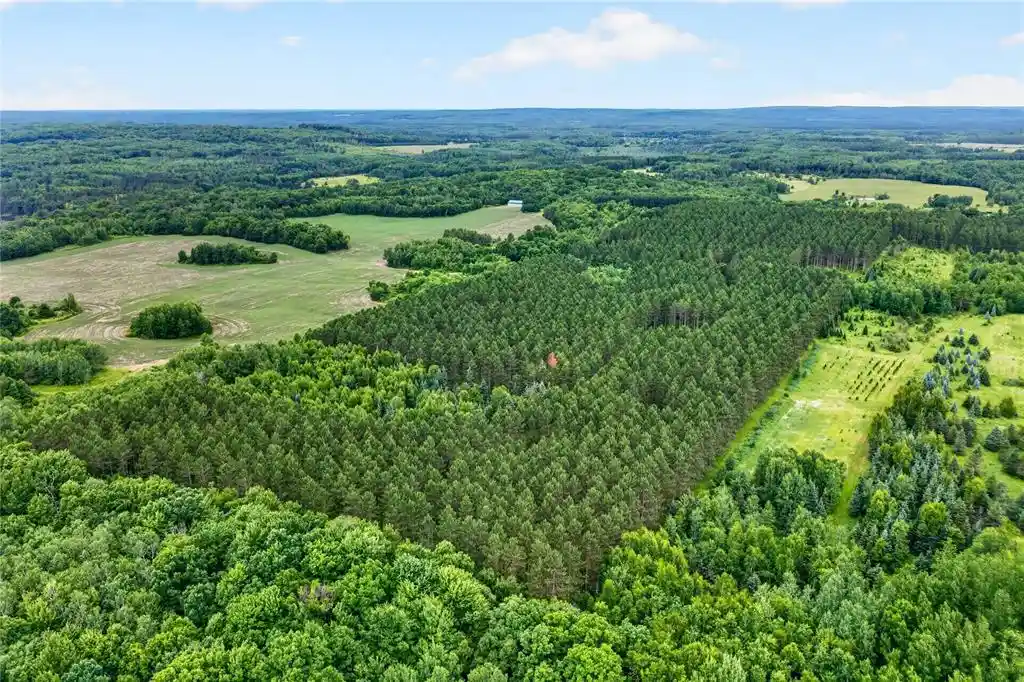 Photo 3 of Land for sale at 20 Acres S 5Th Ave, Trego, WI 54888 | MLS# 1602779 | Listing updated on 2026-09-16