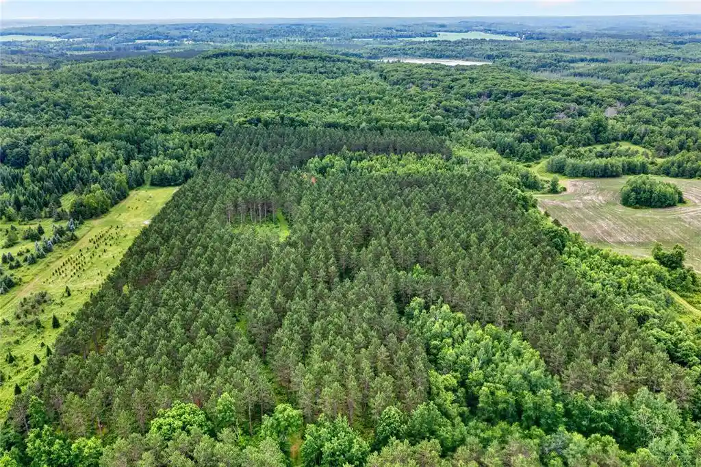 Photo 4 of Land for sale at 20 Acres S 5Th Ave, Trego, WI 54888 | MLS# 1602779 | Listing updated on 2026-09-16