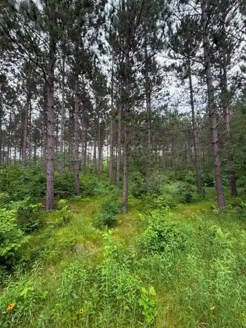 13th image of 20 Acres S 5th Ave, Trego, WI 54888 | MLS# 1602779