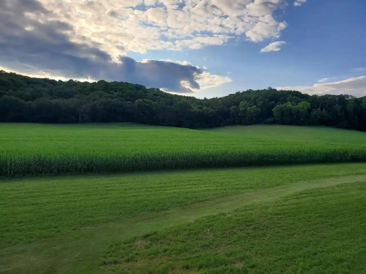 Photo 3 of Land for sale at Lot 1 Shower Road Road, Mazomanie, WI 53560 | MLS# 2027011 | Listing updated on 2026-08-03