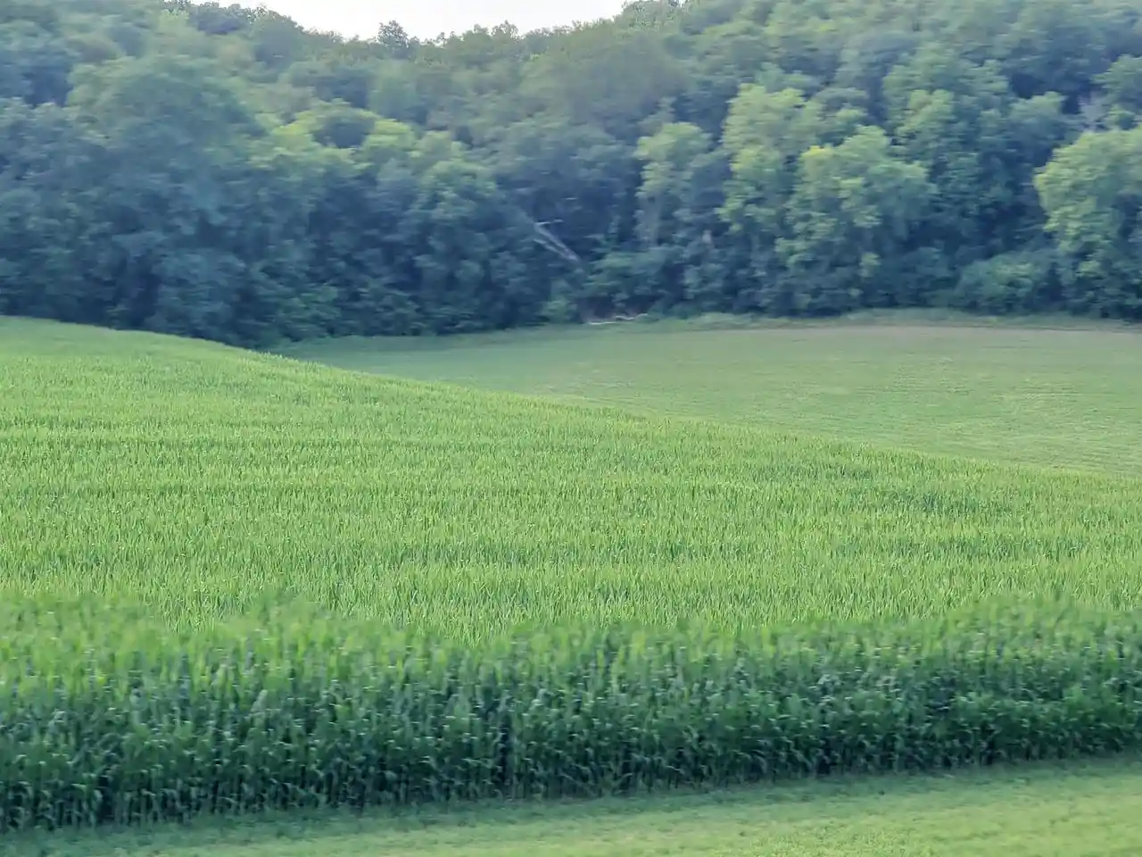 Photo 3 of Land for sale at Lot 1 Shower Road Road, Mazomanie, WI 53560 | MLS# 2027011 | Listing updated on 2026-08-03