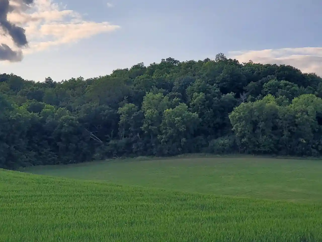 Photo 4 of Land for sale at Lot 1 Shower Road Road, Mazomanie, WI 53560 | MLS# 2027011 | Listing updated on 2026-08-03