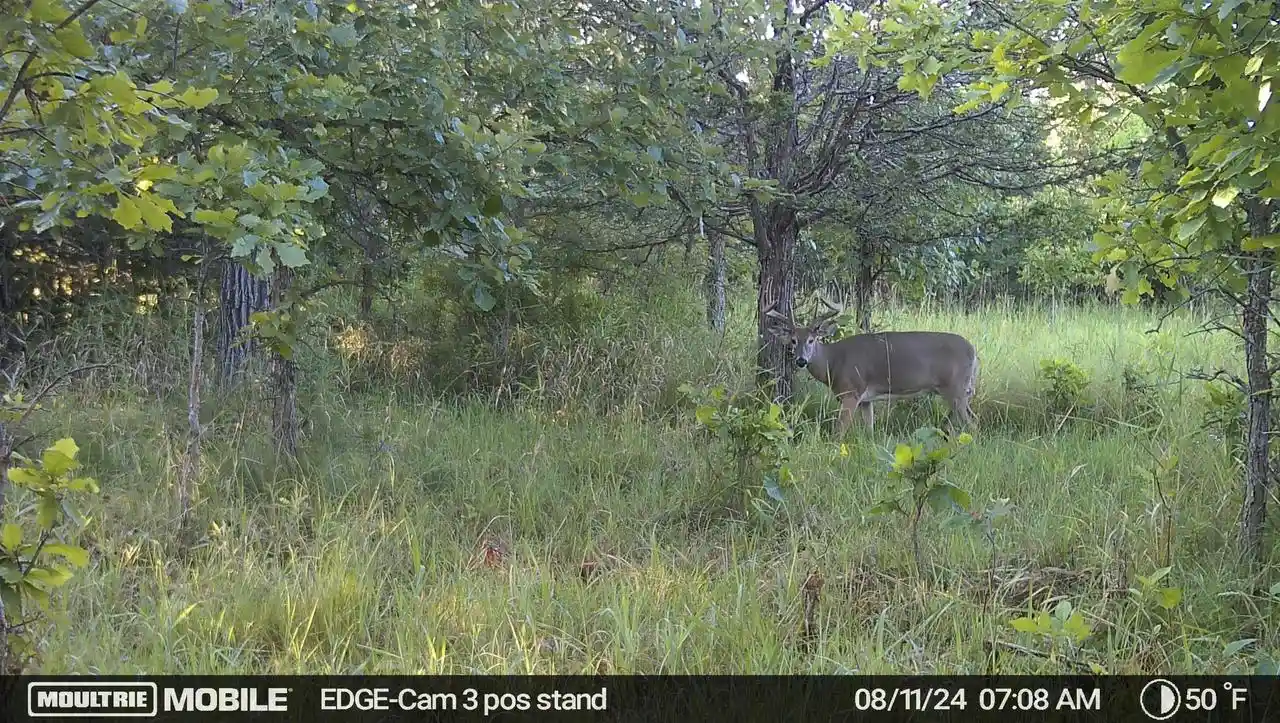 4th image of 90 Acres County Road Cc, Green Lake, WI 54941 | MLS# 2027044