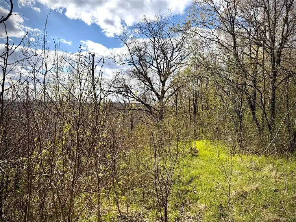 1st image of Tbd County Line Avenue Avenue, Clear Lake, WI 54005 | MLS# 7102026