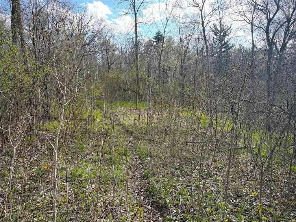 4th image of Tbd County Line Avenue Avenue, Clear Lake, WI 54005 | MLS# 7102026
