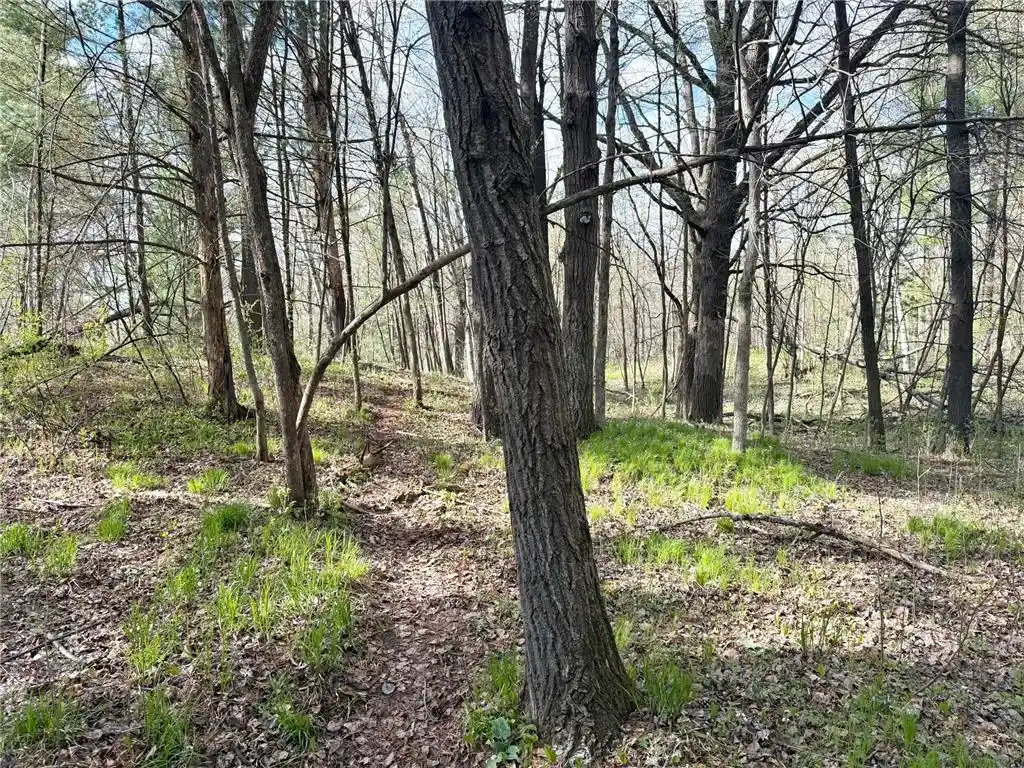 5th image of Tbd County Line Avenue Avenue, Clear Lake, WI 54005 | MLS# 7102026