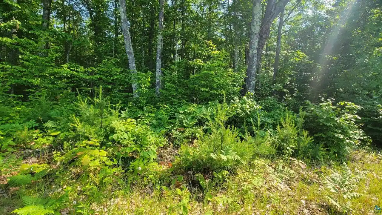 2nd image of E Half Mile Rd Rd, Herbster, WI 54844 | MLS# 6126454