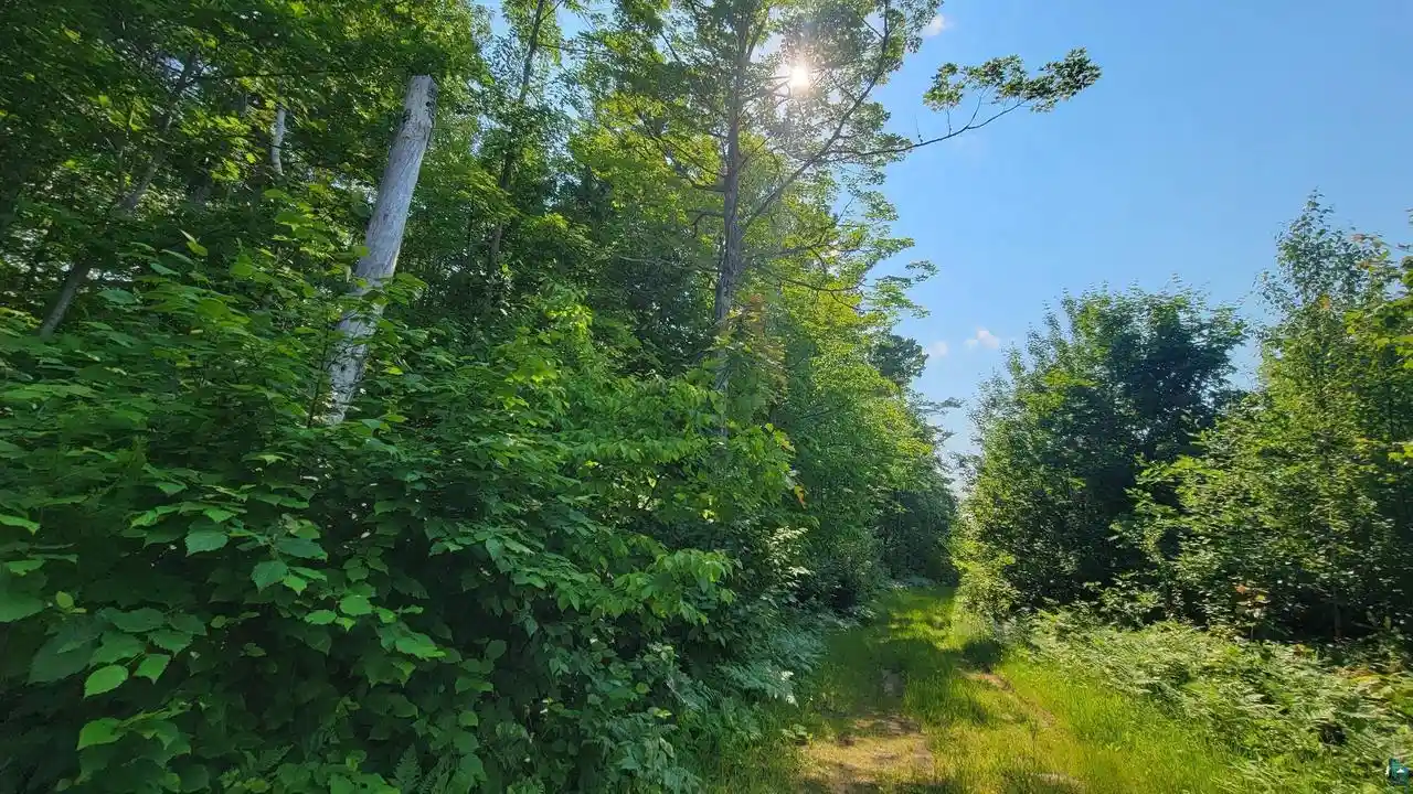 3rd image of E Half Mile Rd Rd, Herbster, WI 54844 | MLS# 6126454