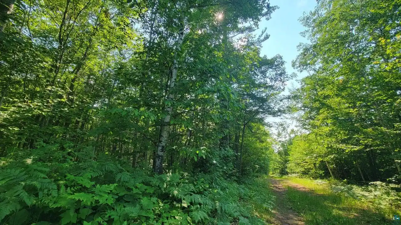 5th image of E Half Mile Rd Rd, Herbster, WI 54844 | MLS# 6126454