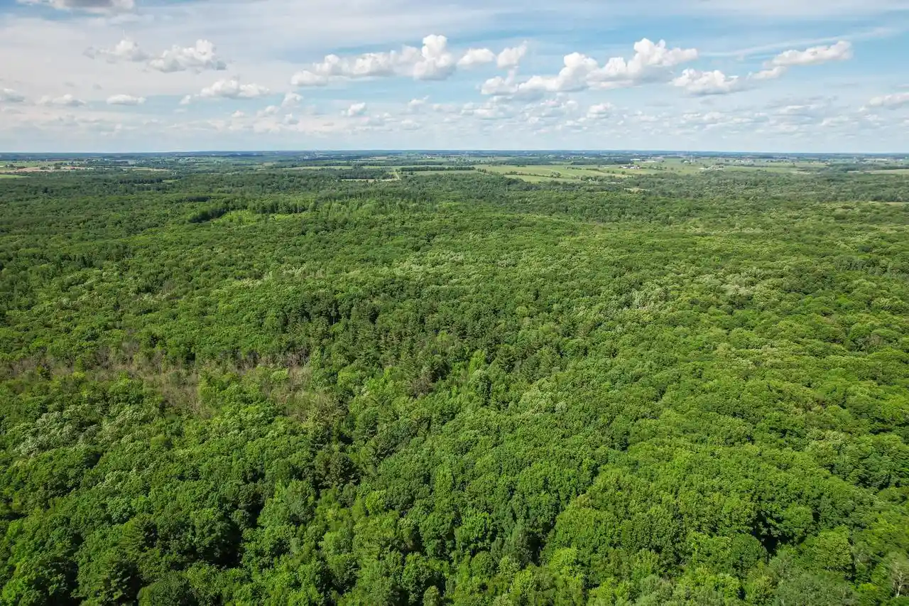 Homes for sale in Thorp, WI | 0000 Cloverdale Road Road, Thorp, WI 54771 | MLS# 2027060