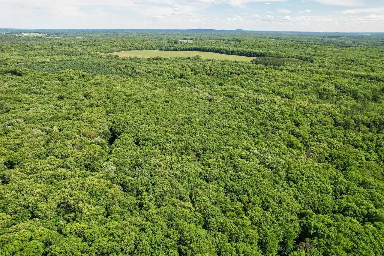 Homes for sale in Thorp, WI | 0000 Cloverdale Road Road, Thorp, WI 54771 | MLS# 2027060
