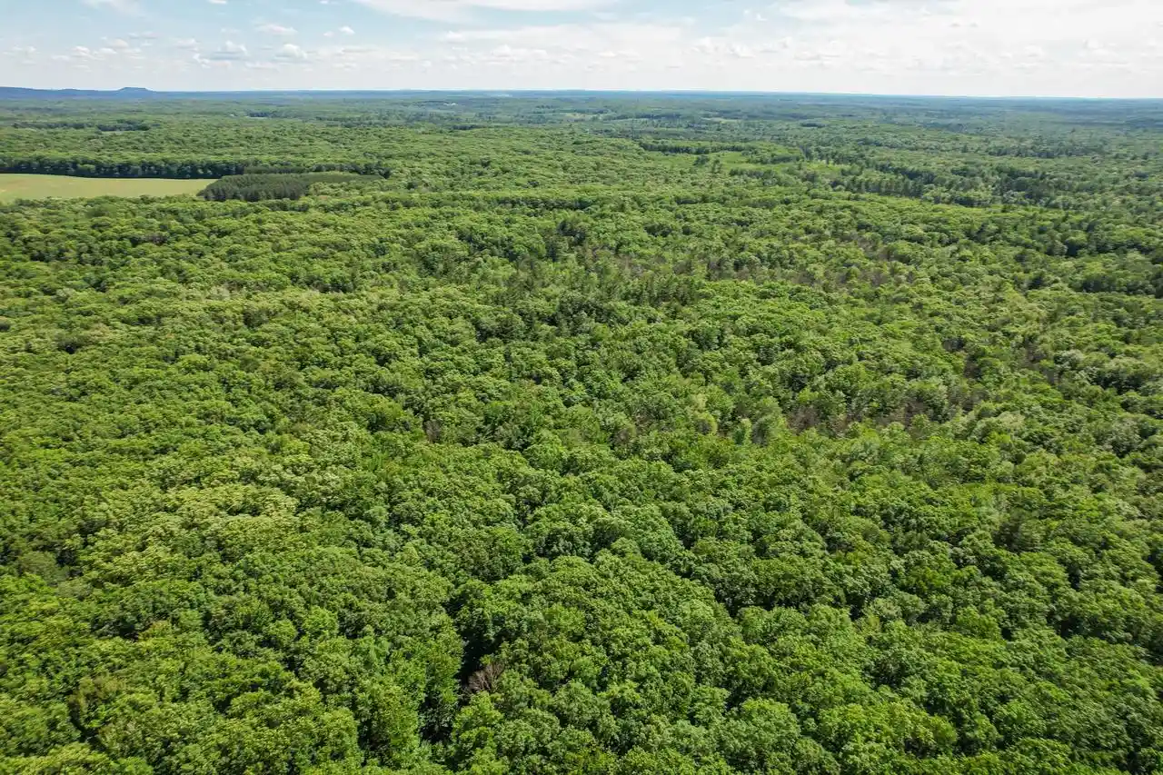 Homes for sale in Thorp, WI | 0000 Cloverdale Road Road, Thorp, WI 54771 | MLS# 2027060