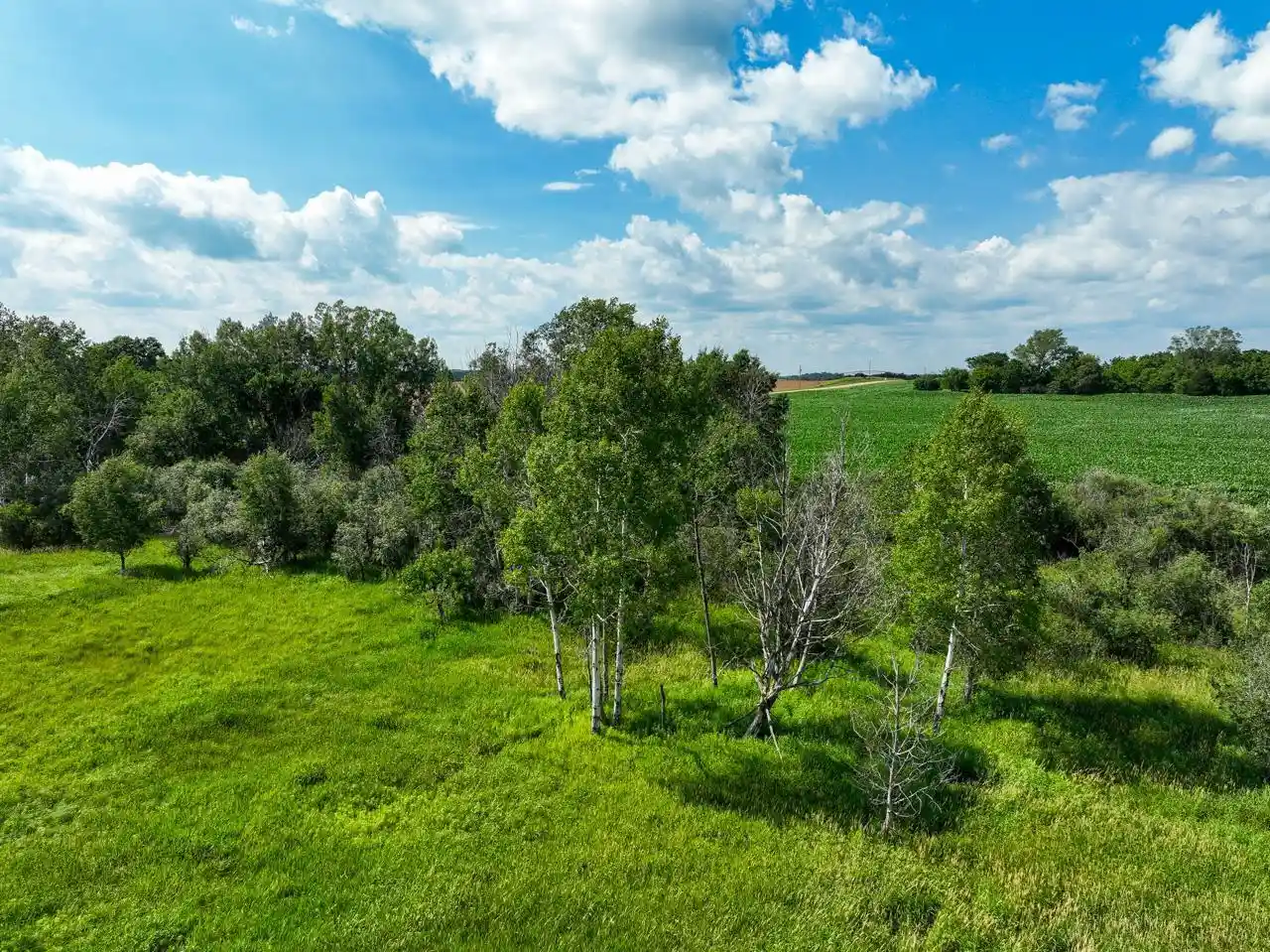 Homes for sale in Princeton, WI | 58 Acres County J Road Road, Princeton, WI 54968 | MLS# 2027064