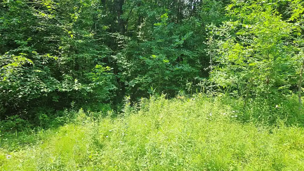 2nd image of 4687 Valesh Road Road, Couderay, WI 54828 | MLS# 1602810