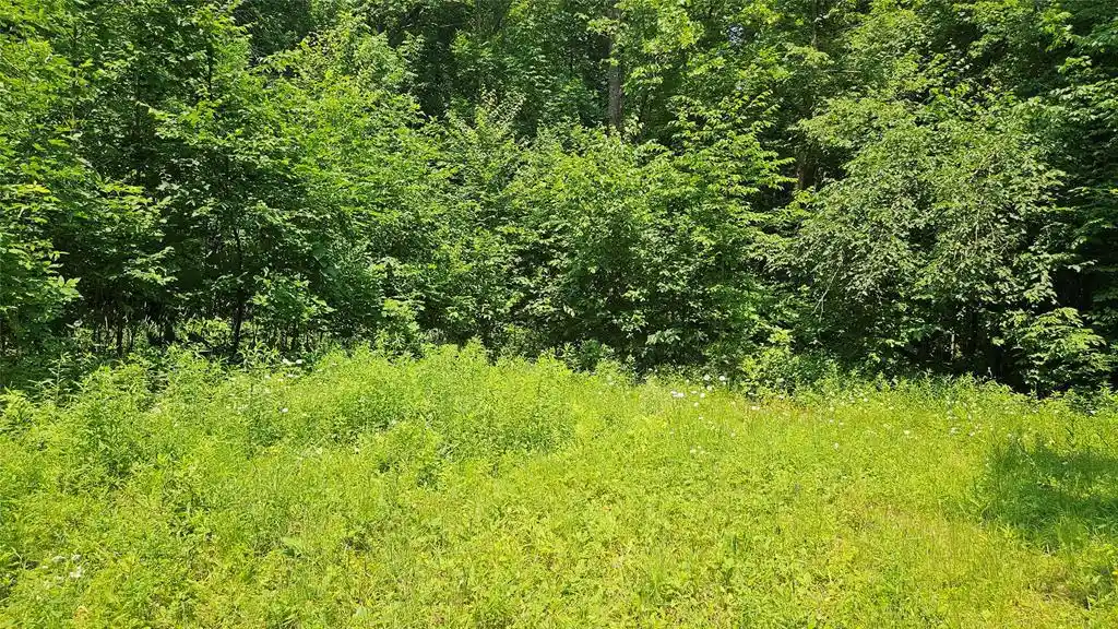 3rd image of 4687 Valesh Road Road, Couderay, WI 54828 | MLS# 1602810
