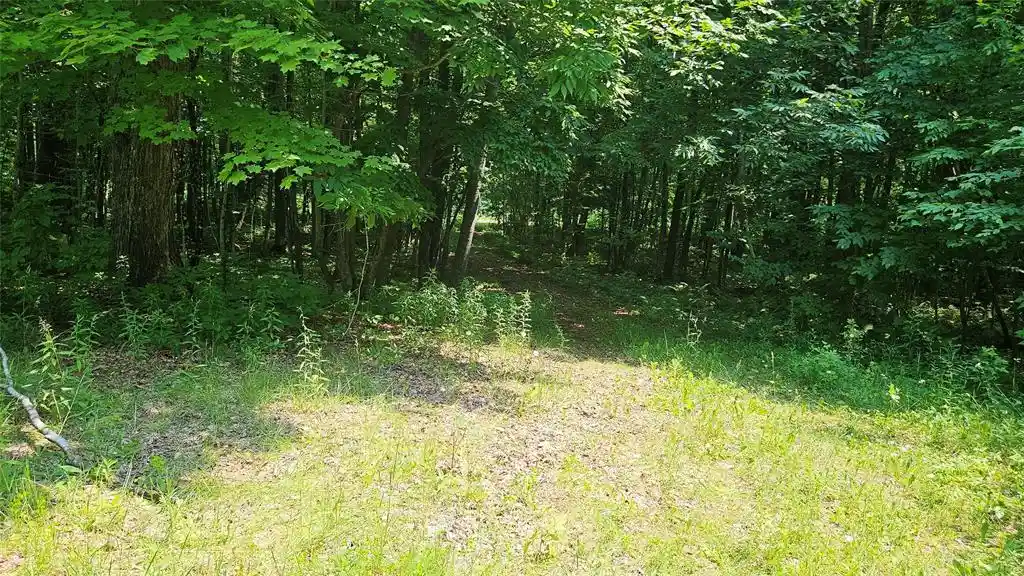 4th image of 4687 Valesh Road Road, Couderay, WI 54828 | MLS# 1602810